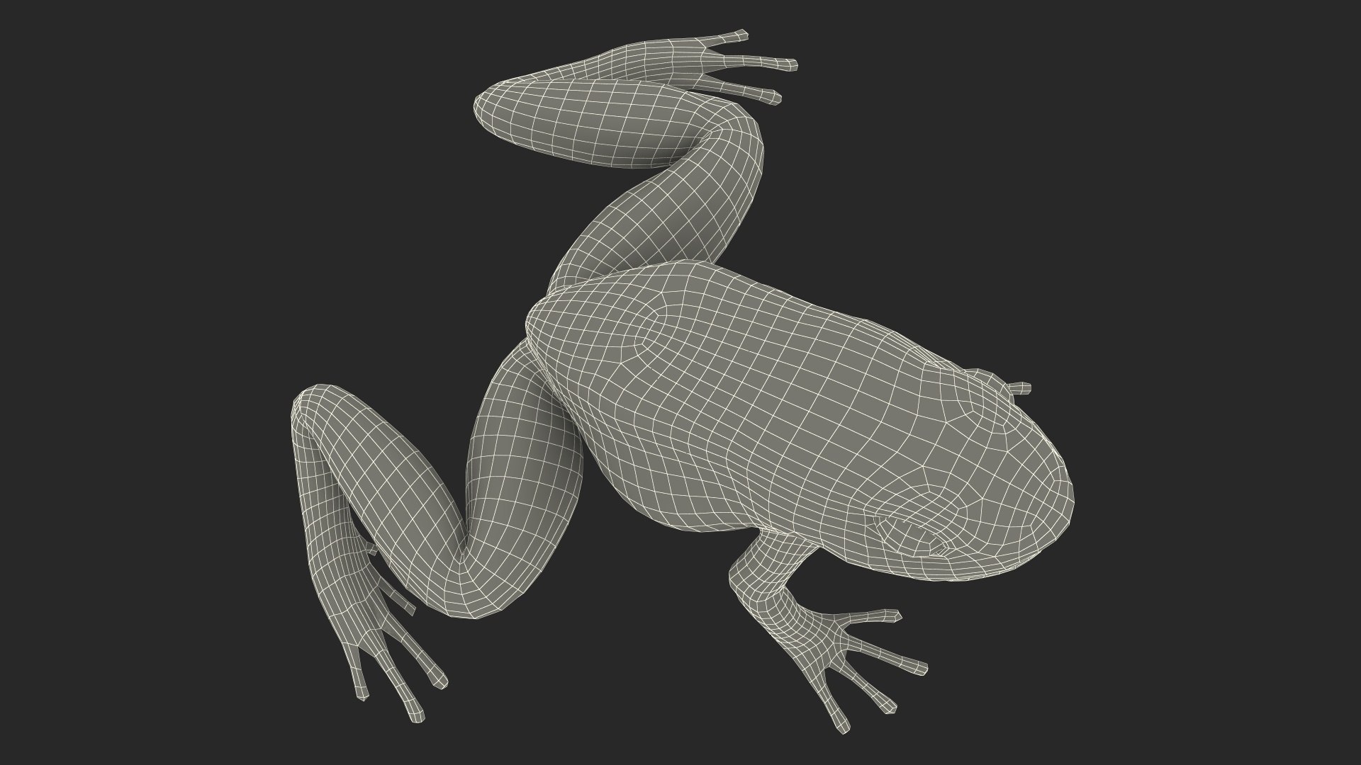 3D Blue Poison Dart Frog model https://p.turbosquid.com/ts-thumb/8L/9bCurq/AQ/bluepoisondartfrogc4dmodel028/jpg/1707552778/1920x1080/fit_q87/88c328cb7a4ab769f45de4553972efd780e24efd/bluepoisondartfrogc4dmodel028.jpg