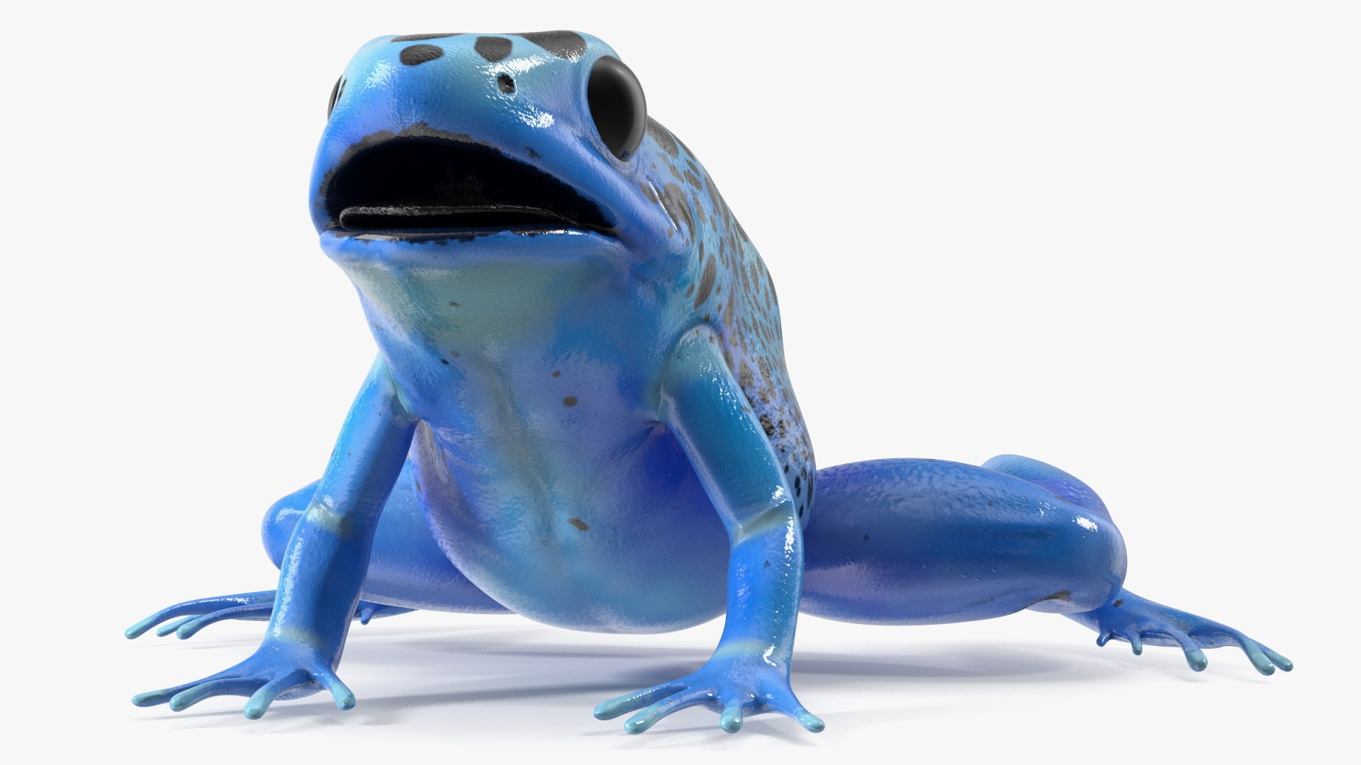 3D Blue Poison Dart Frog model https://p.turbosquid.com/ts-thumb/8L/9bCurq/L9/bluepoisondartfrogc4dmodel009/jpg/1707552696/1920x1080/fit_q87/1fb9d242007af0b1e106819d4db141ded00416fc/bluepoisondartfrogc4dmodel009.jpg