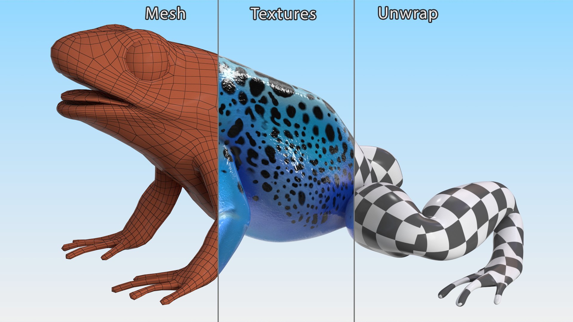 3D Blue Poison Dart Frog model https://p.turbosquid.com/ts-thumb/8L/9bCurq/Nm/bluepoisondartfrogc4dmodel016/jpg/1707552725/1920x1080/fit_q87/5e100017ffc8a59e93551a72d43f9eebdcd9c12c/bluepoisondartfrogc4dmodel016.jpg