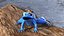 Rana blu del dardo avvelenato