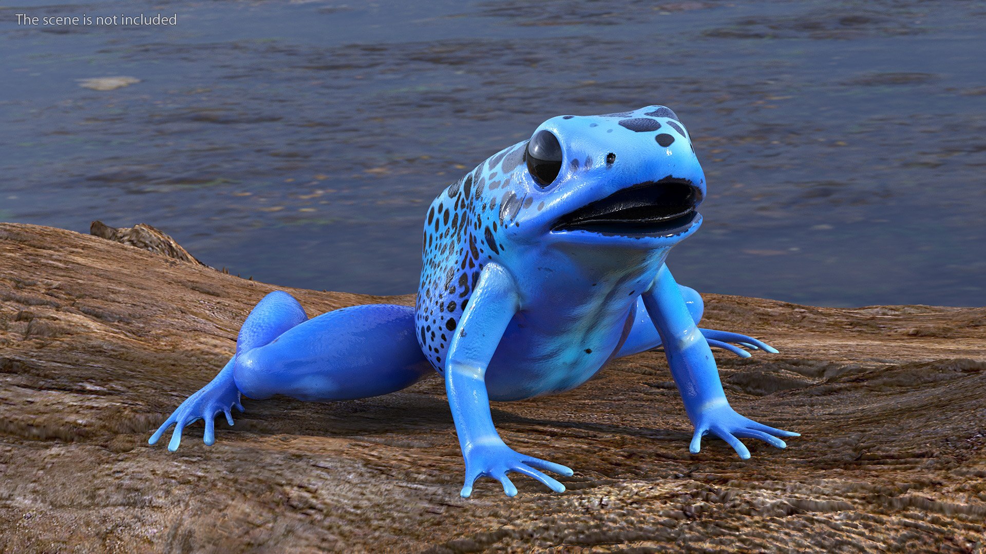 3D Blue Poison Dart Frog model https://p.turbosquid.com/ts-thumb/8L/9bCurq/bC/bluepoisondartfrogc4dmodel005/jpg/1707552675/1920x1080/fit_q87/104027f7199c00440ea6ed6e49ec4992aa0328ae/bluepoisondartfrogc4dmodel005.jpg