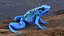 Rana blu del dardo avvelenato