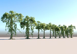 Animated Jungle Tree Pack 3D
