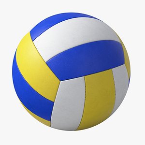 Volleyball Ball