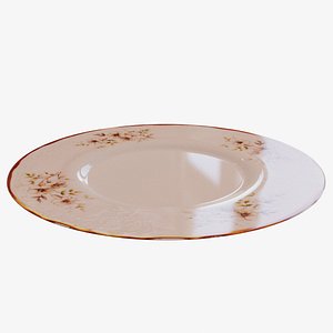 3D porcelain plate