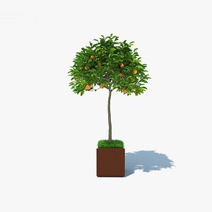 3D model orange pot tree
