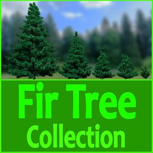 3d model fir trees