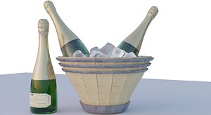 champagne bottle model