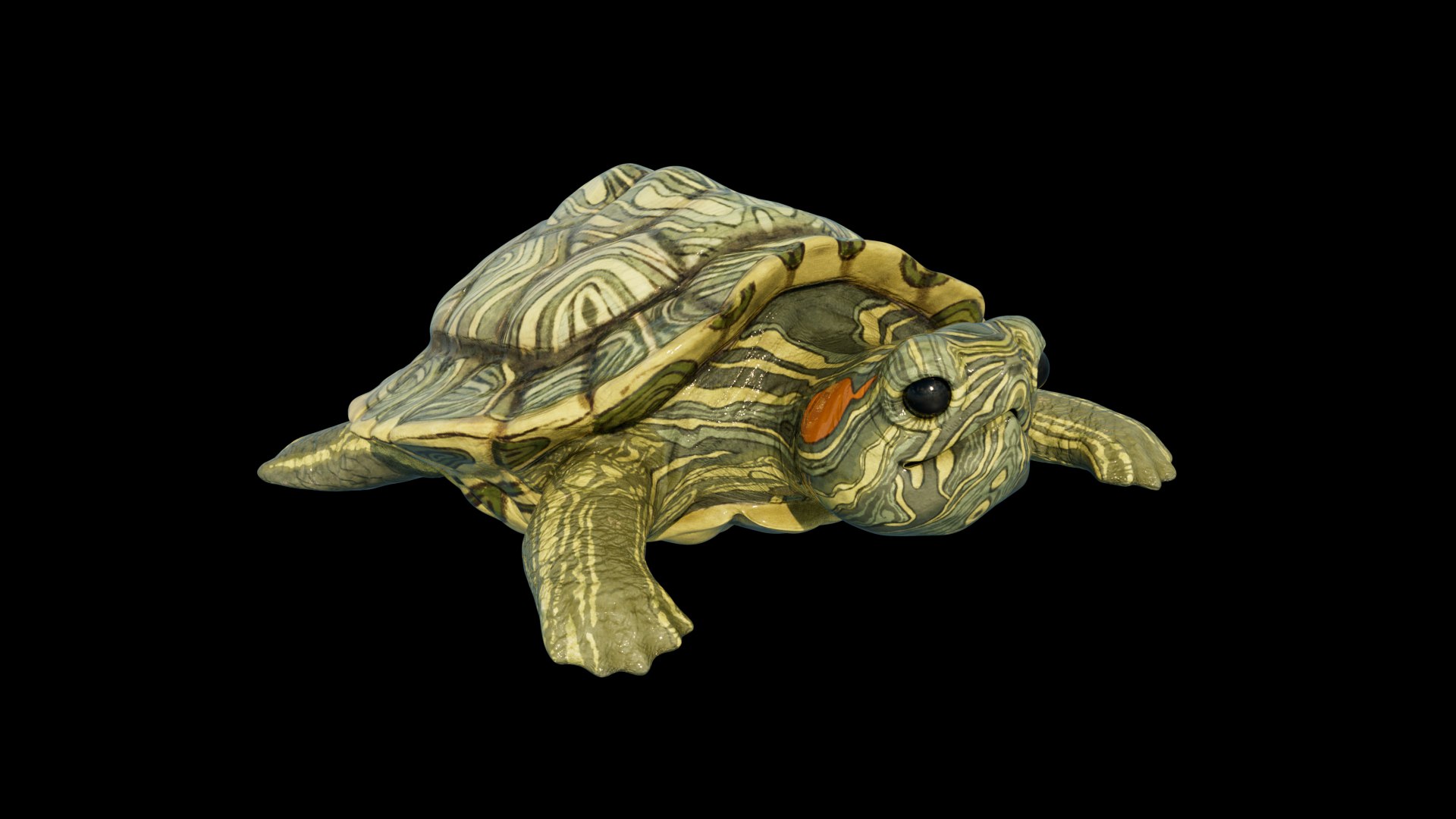 TURTLE 3D model https://p.turbosquid.com/ts-thumb/8L/mF2R3D/9o/05/png/1687156609/1920x1080/fit_q87/87271fa1f23d6964aca1416e5fbe2e81a9ca53a8/05.jpg