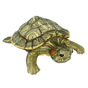 TURTLE 3D model