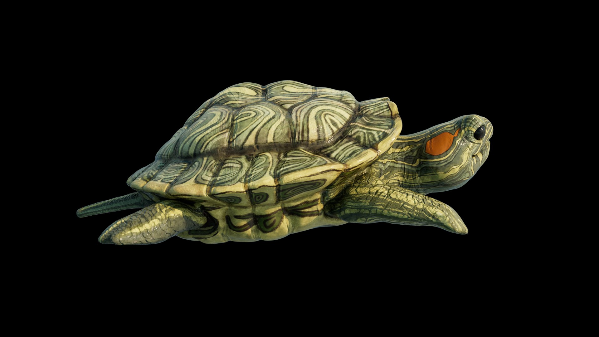 TURTLE 3D Model - TurboSquid 2085538