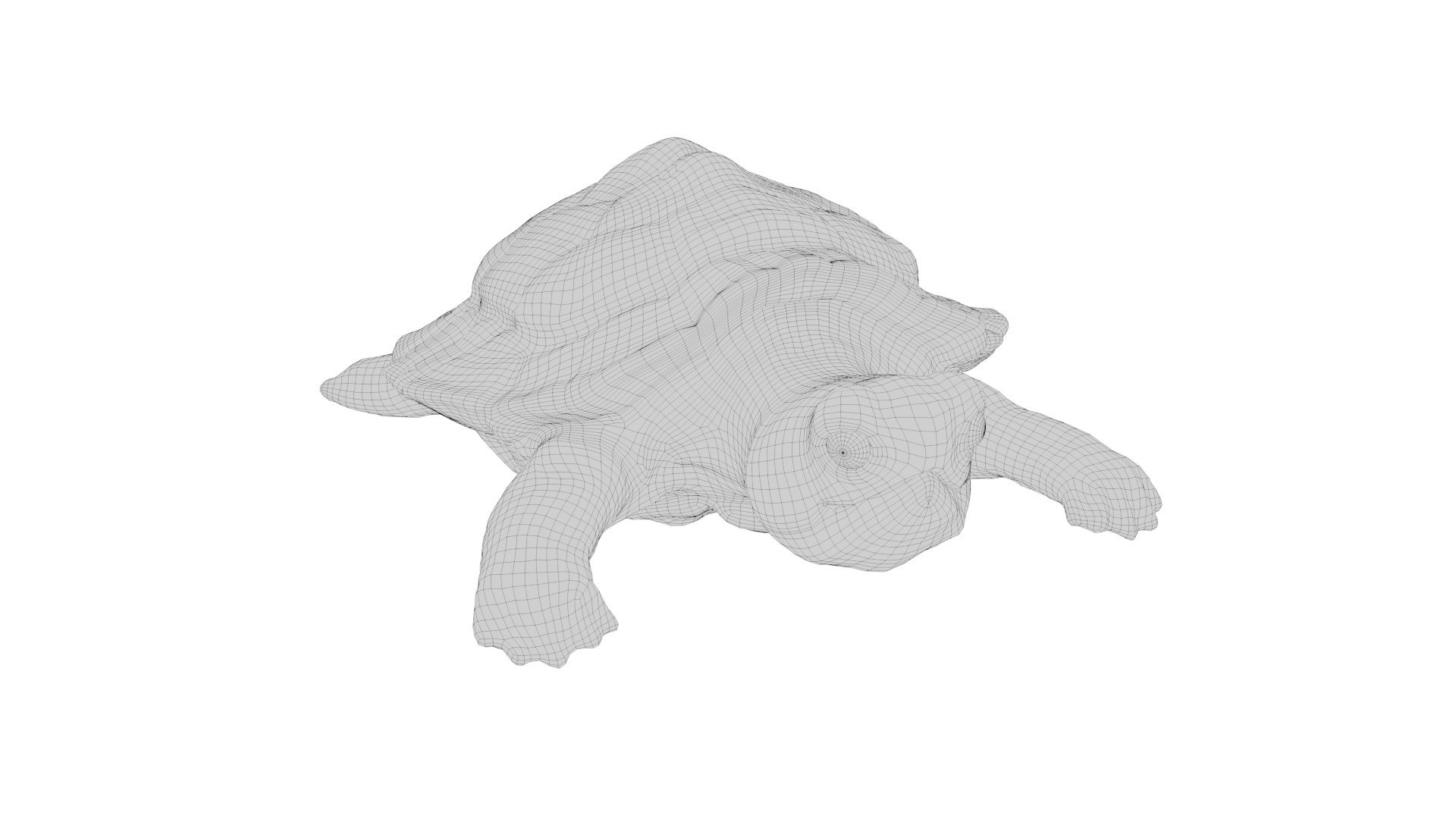 TURTLE 3D model https://p.turbosquid.com/ts-thumb/8L/mF2R3D/Vh/11_0180/png/1687158640/1920x1080/fit_q87/603d5a3f20329fd49fcb65361a3ff88ec30604f4/11_0180.jpg