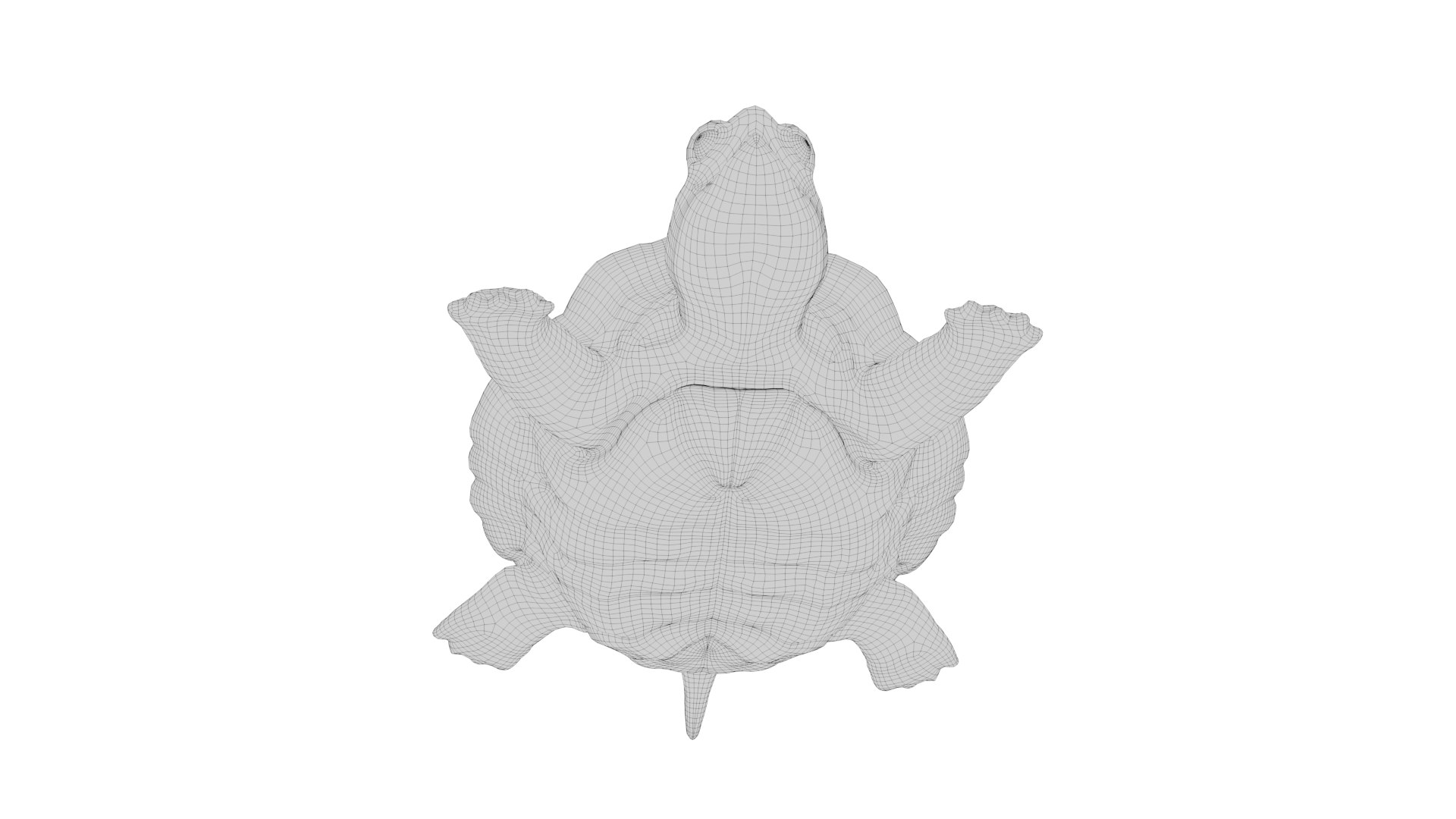 TURTLE 3D model https://p.turbosquid.com/ts-thumb/8L/mF2R3D/kG/12_0180/png/1687158641/1920x1080/fit_q87/5c13380013ec48a6a5edc82c2a871d21eab2a8ea/12_0180.jpg