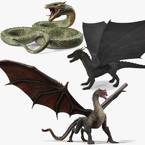 3D Mythical Dragons Realistic Collection