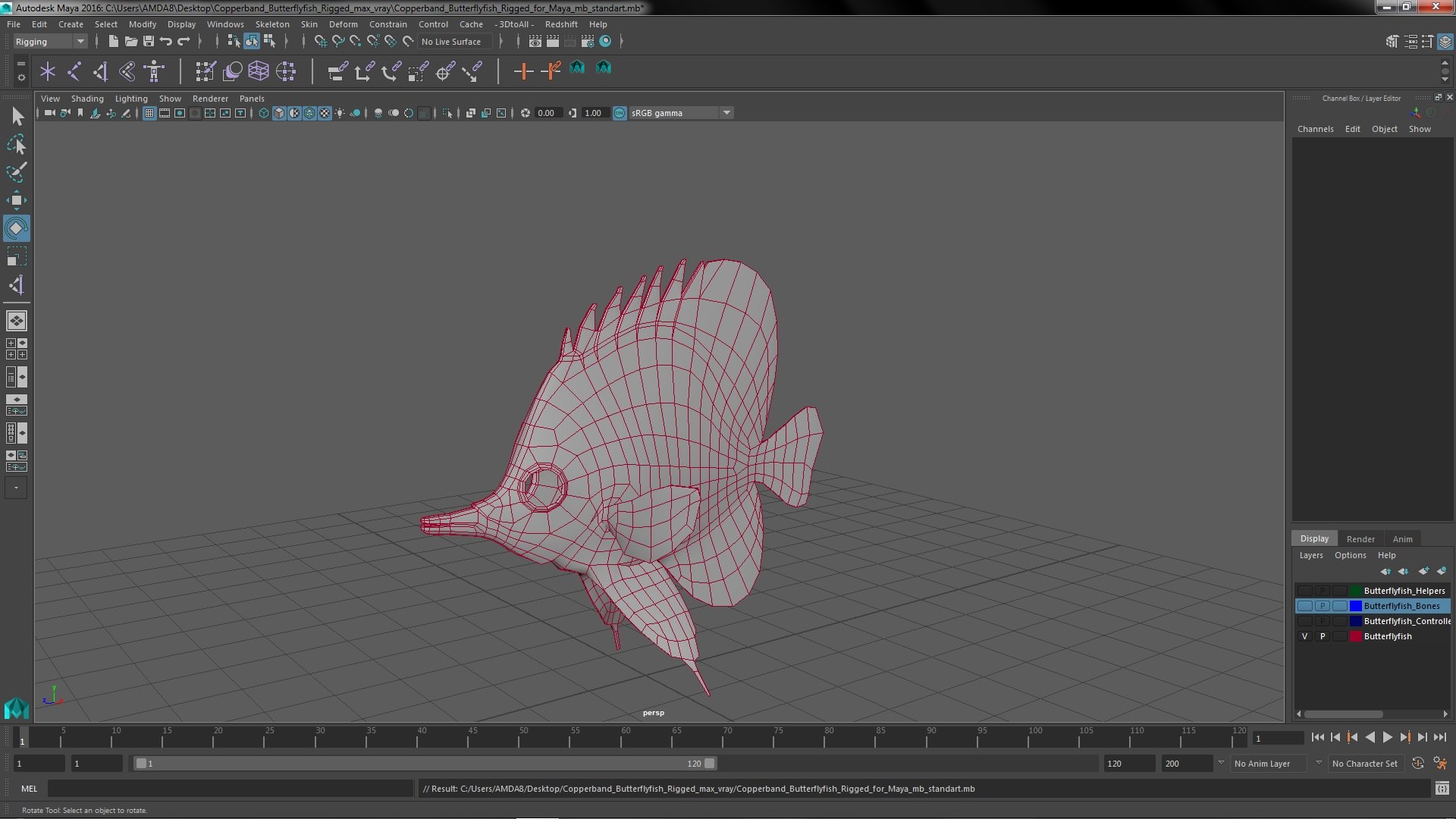 3D Copperband Butterflyfish Rigged For Maya - TurboSquid 2006385