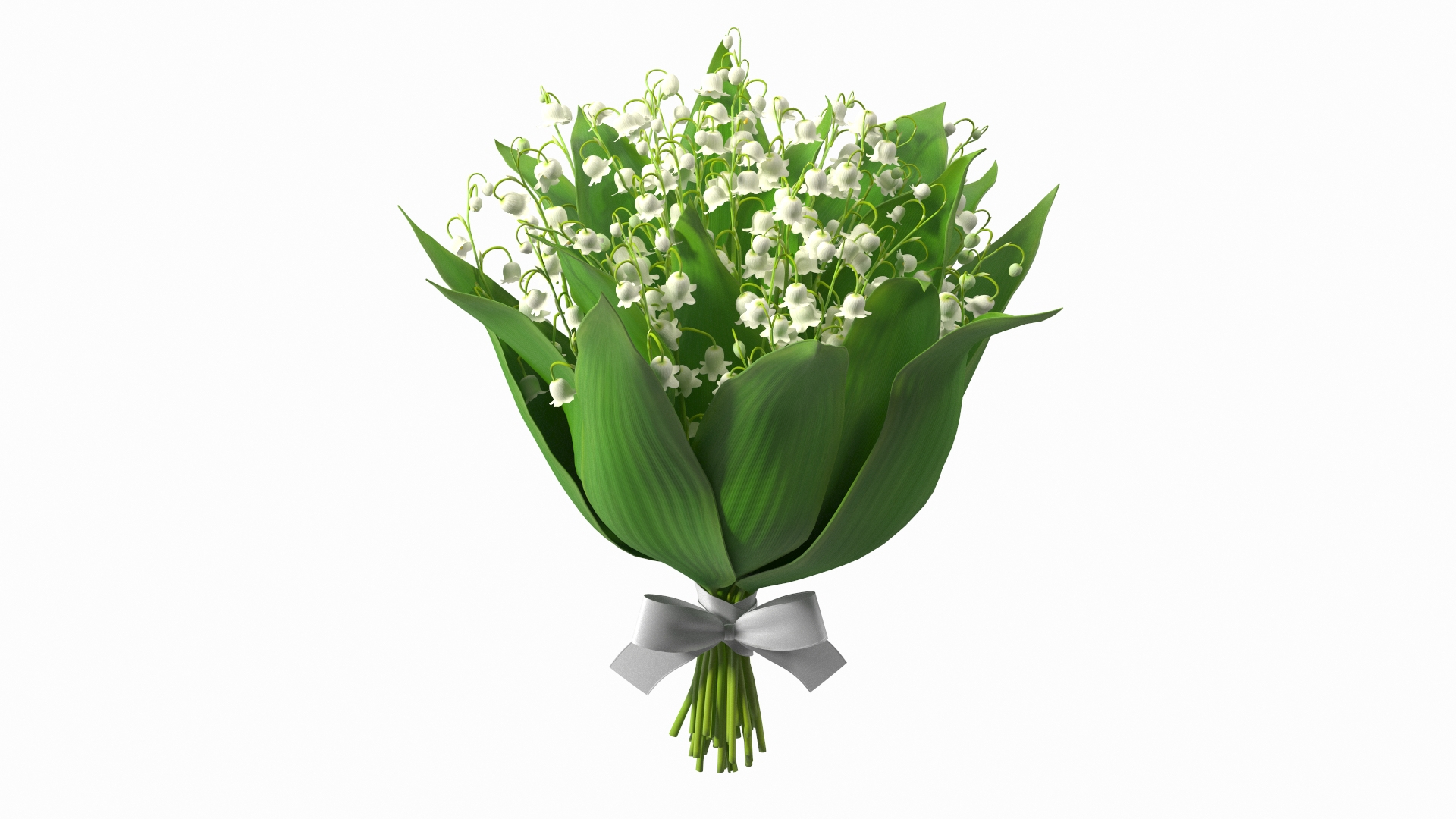 Lily of the Valley Bouquet Big 3D model https://p.turbosquid.com/ts-thumb/8M/FXtaHl/09/lily_of_the_valley_bouquet_big_360/jpg/1654091384/1920x1080/turn_fit_q99/43e02267a9c35e9e6d7f3841710d2f431f882b34/lily_of_the_valley_bouquet_big_360-1.jpg