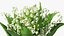 Lily of the Valley Bouquet Big