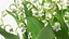 Lily of the Valley Bouquet Big