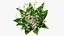 Lily of the Valley Bouquet Big