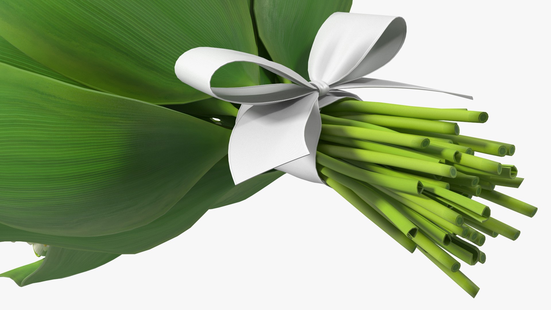 Lily of the Valley Bouquet Big 3D model https://p.turbosquid.com/ts-thumb/8M/FXtaHl/Fu/lilyofthevalleybouquetbigc4dmodel017/jpg/1654091109/1920x1080/fit_q87/2a1e25c4bb9bf973d0ecf8f49ca1f8cecc663503/lilyofthevalleybouquetbigc4dmodel017.jpg
