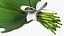 Lily of the Valley Bouquet Big