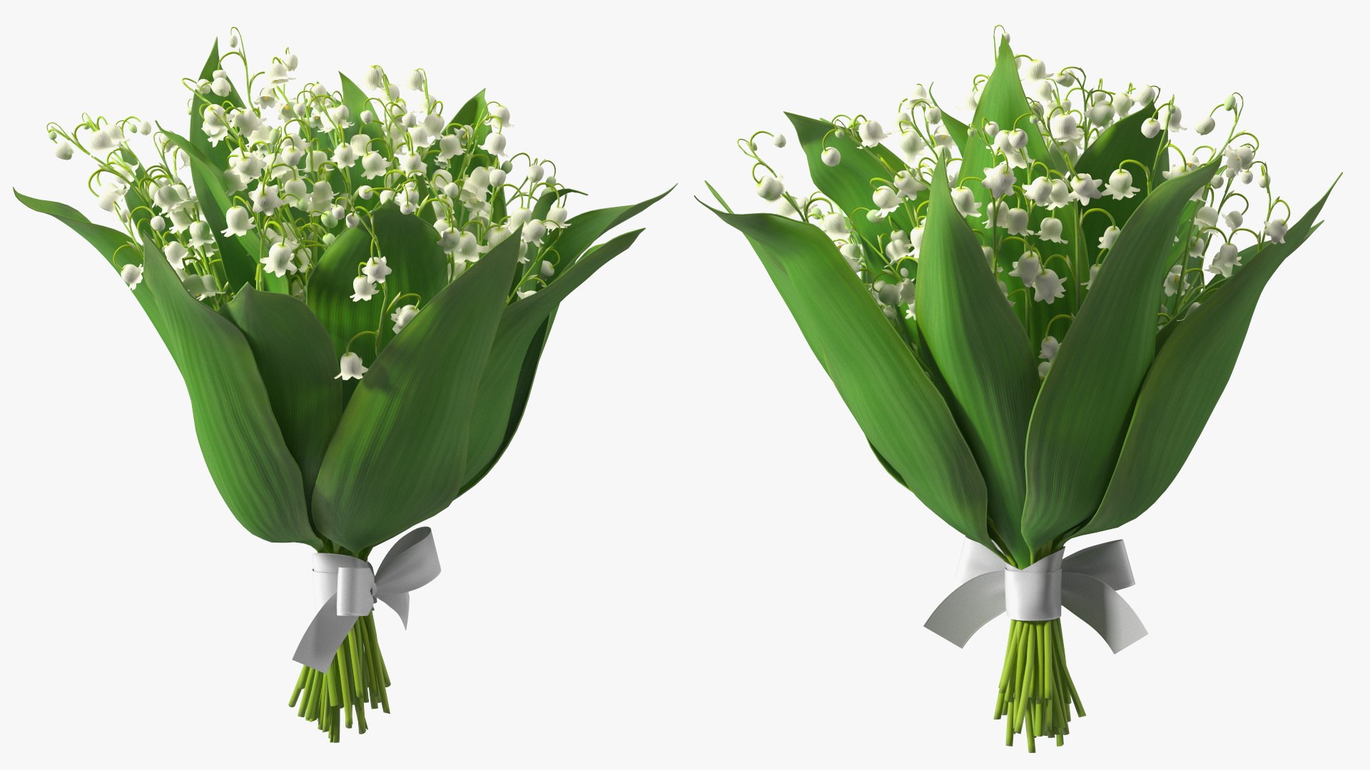 Lily of the Valley Bouquet Big 3D model https://p.turbosquid.com/ts-thumb/8M/FXtaHl/Se/lilyofthevalleybouquetbigc4dmodel007/jpg/1654091071/1920x1080/fit_q87/c60ca08d77753e28e0d49ff54c592b4488518da8/lilyofthevalleybouquetbigc4dmodel007.jpg