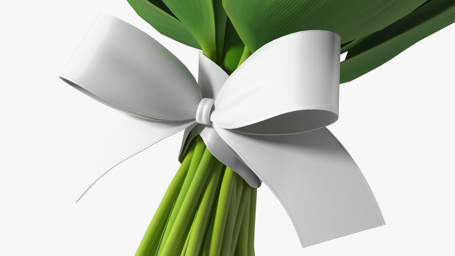 Lily of the Valley Bouquet Big 3D model https://p.turbosquid.com/ts-thumb/8M/FXtaHl/VT/lilyofthevalleybouquetbigc4dmodel016/jpg/1654091105/1920x1080/fit_q87/60d08dc7575746386aab27c533ac76a1ea141242/lilyofthevalleybouquetbigc4dmodel016.jpg