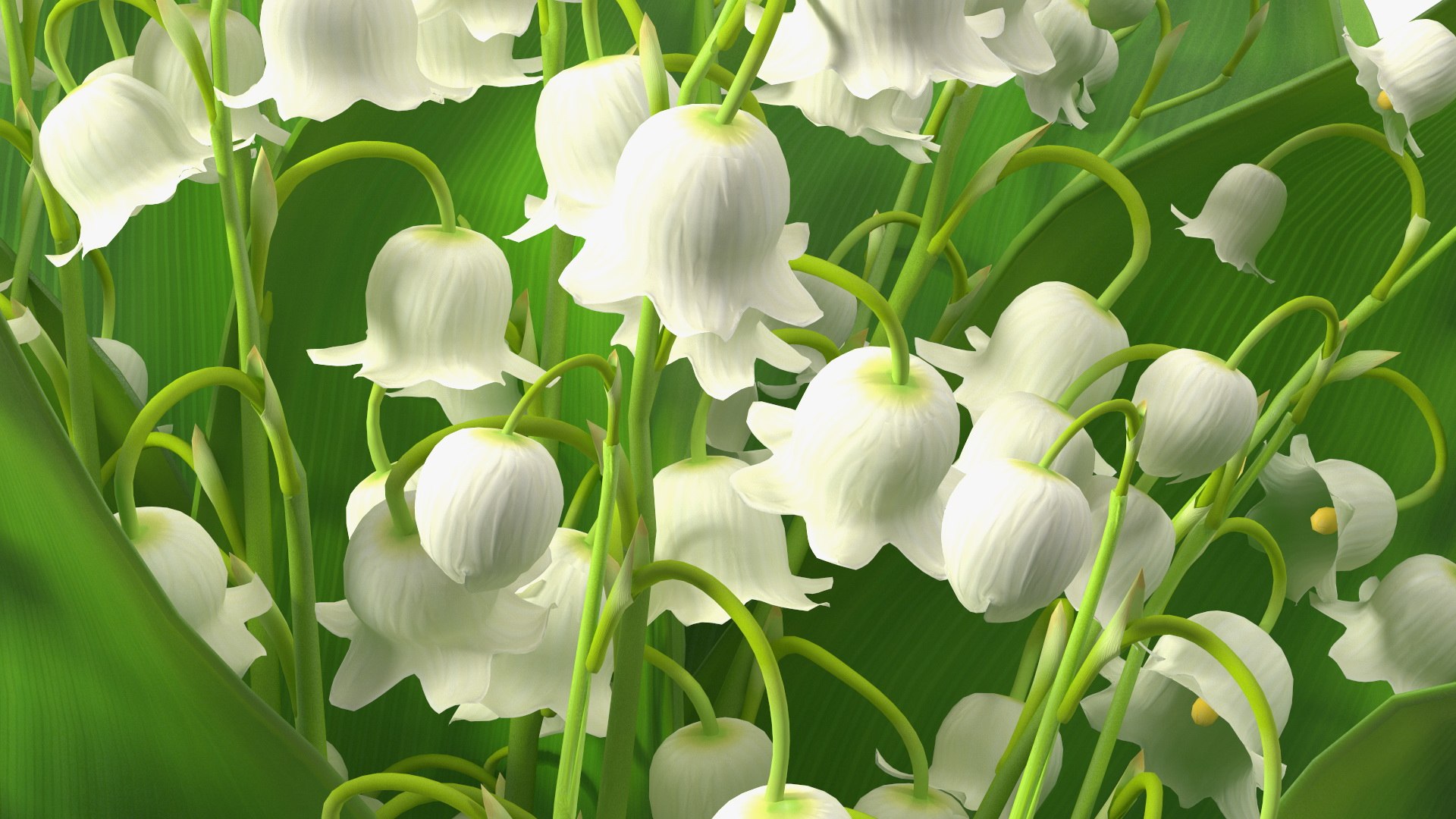 Lily of the Valley Bouquet Big 3D model https://p.turbosquid.com/ts-thumb/8M/FXtaHl/Zu/lilyofthevalleybouquetbigc4dmodel015/jpg/1654091100/1920x1080/fit_q87/6f865895e793cbcec1e67c6fc20926df19c0f83d/lilyofthevalleybouquetbigc4dmodel015.jpg