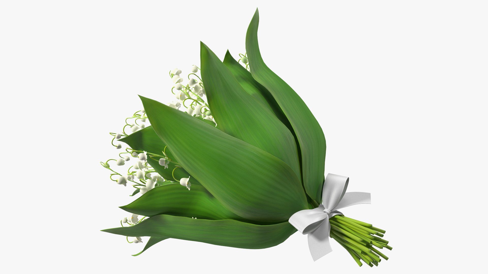 Lily of the Valley Bouquet Big 3D model https://p.turbosquid.com/ts-thumb/8M/FXtaHl/se/lilyofthevalleybouquetbigc4dmodel010/jpg/1654091080/1920x1080/fit_q87/f209da8f3665a429d4191b22cda3a637b271e0ae/lilyofthevalleybouquetbigc4dmodel010.jpg