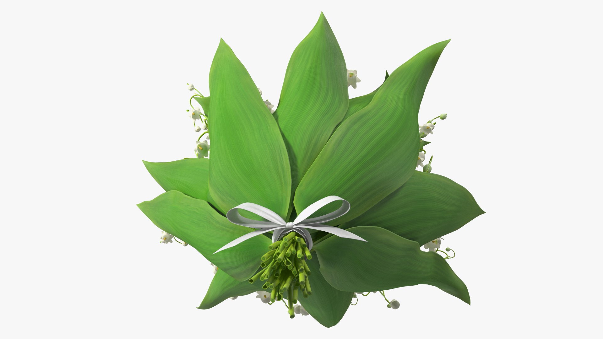 Lily of the Valley Bouquet Big 3D model https://p.turbosquid.com/ts-thumb/8M/FXtaHl/vQ/lilyofthevalleybouquetbigc4dmodel009/jpg/1654091077/1920x1080/fit_q87/9b4cb1d47df6df61882adeed1e302ad0cfd7f01b/lilyofthevalleybouquetbigc4dmodel009.jpg