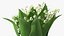 Lily of the Valley Bouquet Big
