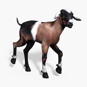 3d baby goat rigged