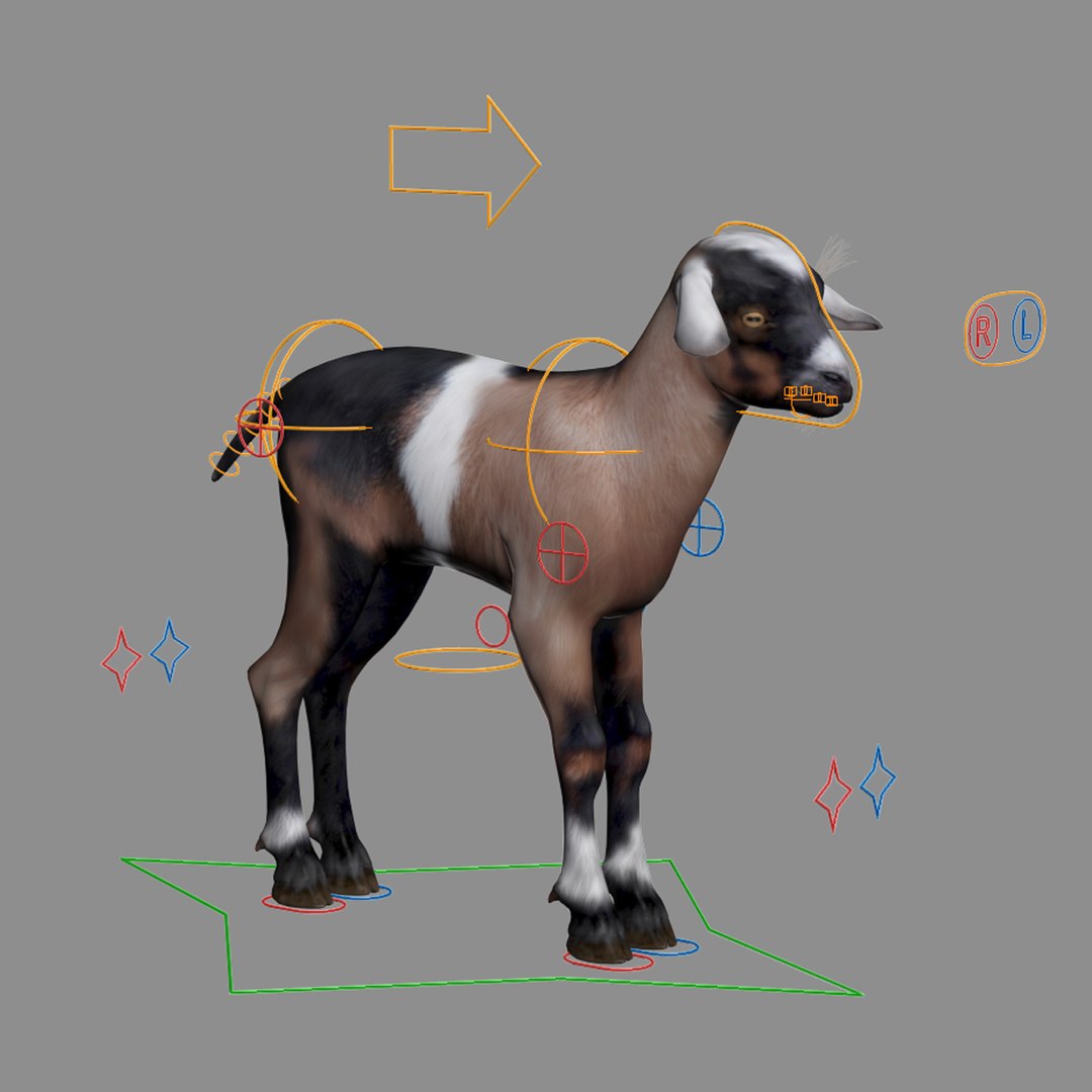 3d baby goat rigged