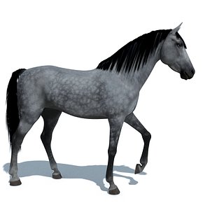 blender horse animations colour 3d 3ds