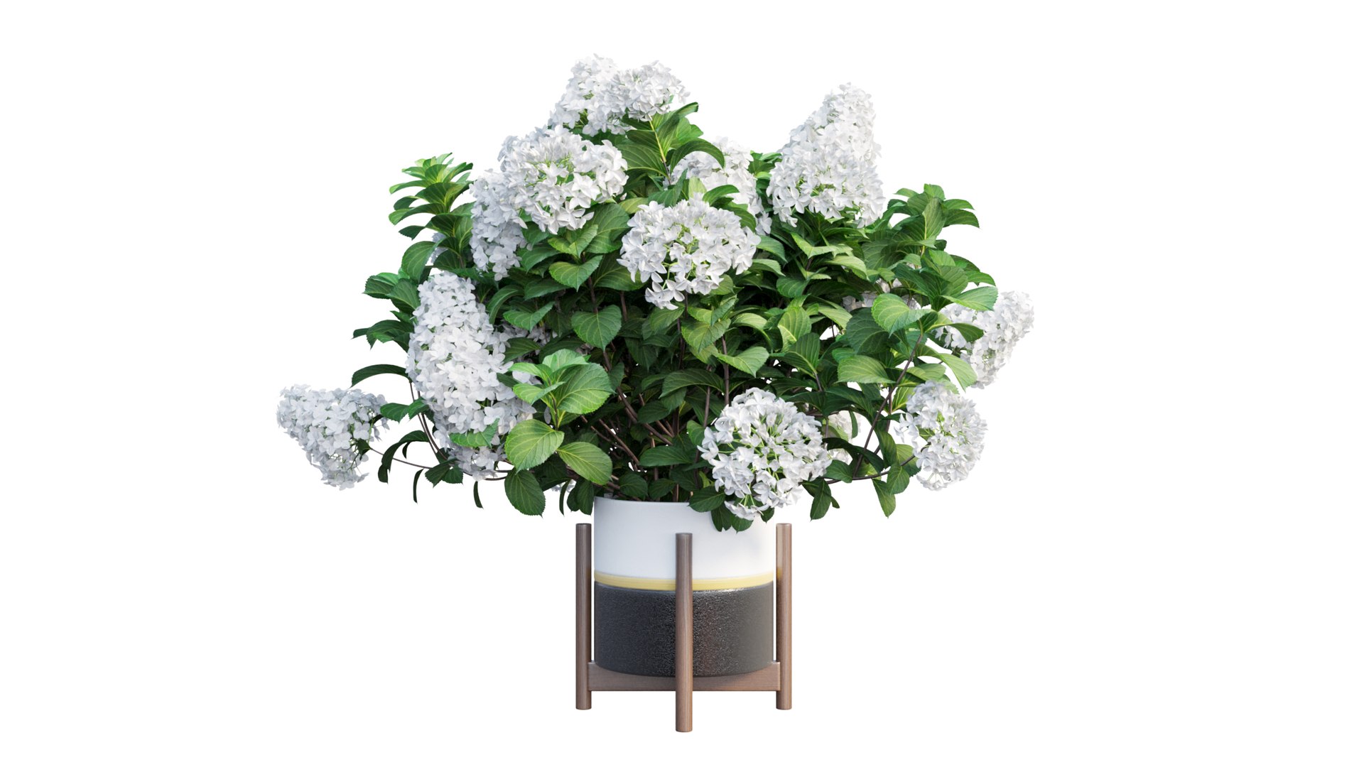 3D model plants hydrangea set 12 https://p.turbosquid.com/ts-thumb/8M/NKw4n0/B1v0AXmb/view_27/jpg/1579067283/1920x1080/fit_q87/5bd9f10102331d6bc59a4aed34dff841793b447b/view_27.jpg