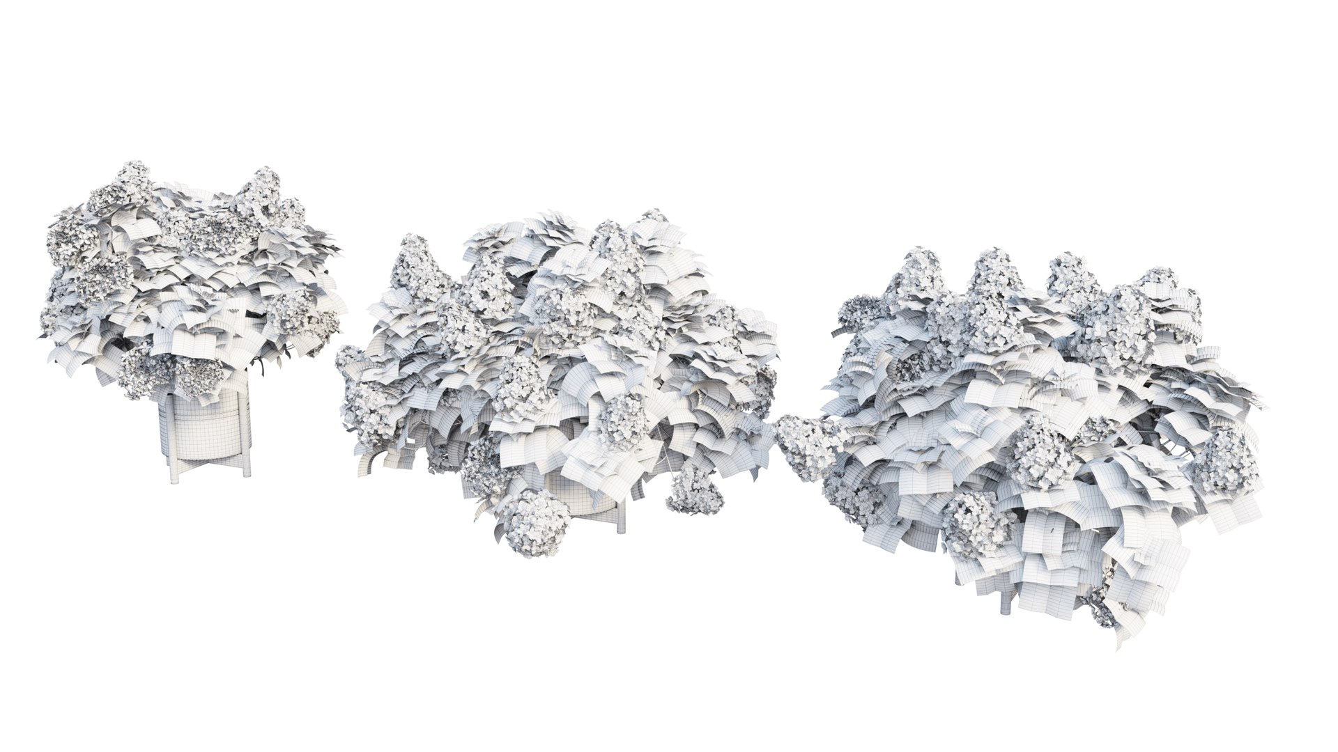 3D model plants hydrangea set 12 https://p.turbosquid.com/ts-thumb/8M/NKw4n0/GBUW0khr/view_31/jpg/1579067283/1920x1080/fit_q87/b3967705fad3d91417c792a669ec2a4f849a850a/view_31.jpg