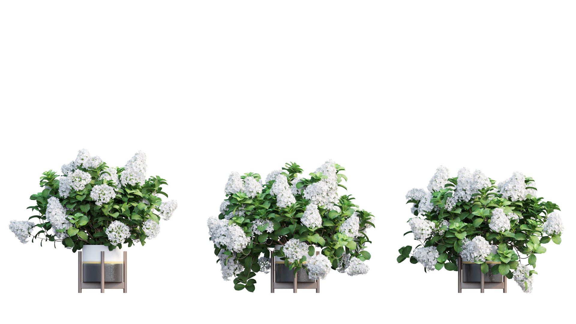 3D model plants hydrangea set 12 https://p.turbosquid.com/ts-thumb/8M/NKw4n0/Ouz0Kjnf/view_20/jpg/1579067283/1920x1080/fit_q87/5893021ff1602d589246c9e68d0ee4277672fbc5/view_20.jpg
