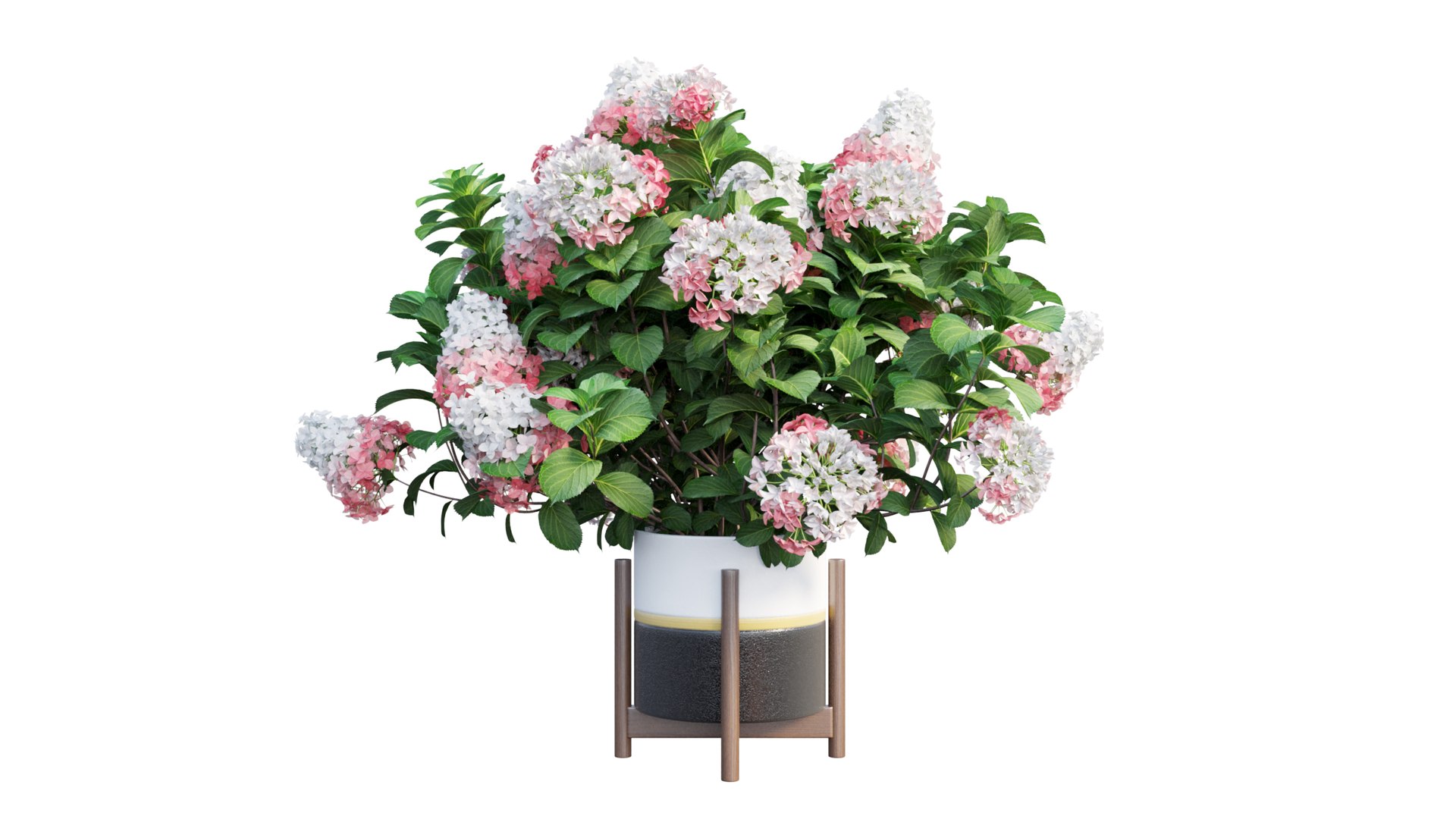 3D model plants hydrangea set 12 https://p.turbosquid.com/ts-thumb/8M/NKw4n0/SaP5VHNz/view_10/jpg/1579067283/1920x1080/fit_q87/b93ce6928ca2835196fbc481ee6dd733804c2b71/view_10.jpg