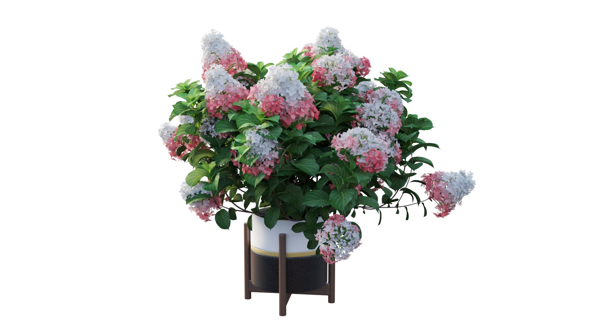 3D model plants hydrangea set 12 https://p.turbosquid.com/ts-thumb/8M/NKw4n0/Tjewul90/view_12/jpg/1579067283/1920x1080/fit_q87/88483991235110475675754008f8849b2dcfd131/view_12.jpg
