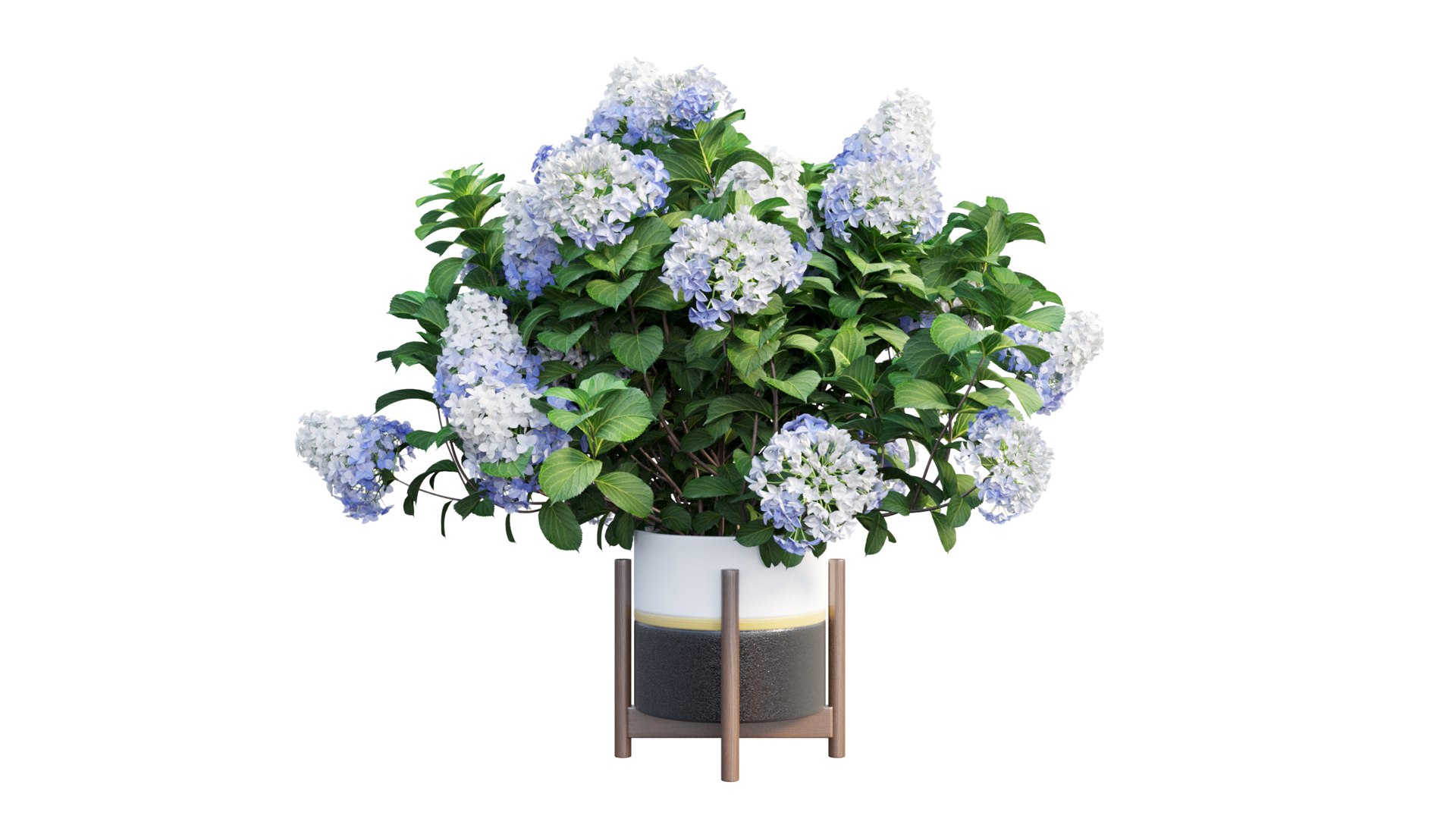 3D model plants hydrangea set 12 https://p.turbosquid.com/ts-thumb/8M/NKw4n0/V6kbcmzC/view_26/jpg/1579067283/1920x1080/fit_q87/c0fbfb1a40ee29936c25001def53d66137270039/view_26.jpg