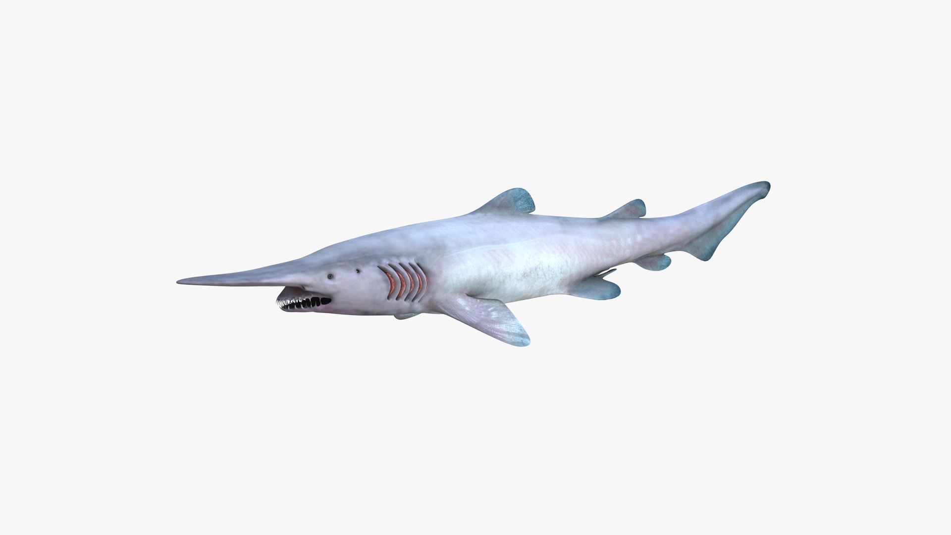 Realistic Male Goblin Shark 3d 3ds