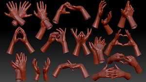 16 Posed Male Duo Hand Scans