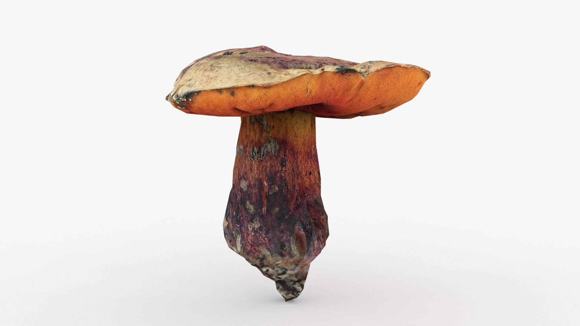 3D Poisonus Mushroom 1 Scan https://p.turbosquid.com/ts-thumb/8M/RN7upD/4m/5/png/1694631583/1920x1080/fit_q87/bec2fa320b2a4268dd4f8935aab28e5165178513/5.jpg