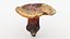 Poisonus Mushroom 1 Scan
