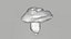 Poisonus Mushroom 1 Scan