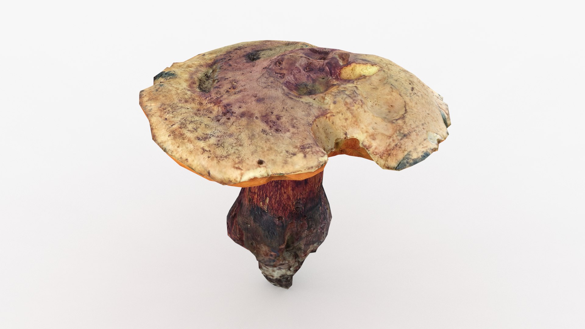 3D Poisonus Mushroom 1 Scan https://p.turbosquid.com/ts-thumb/8M/RN7upD/Nz/7/png/1694631588/1920x1080/fit_q87/547c3cb49bd924902f6e8610428ccedddcfb196b/7.jpg