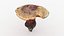 Poisonus Mushroom 1 Scan