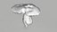Poisonus Mushroom 1 Scan