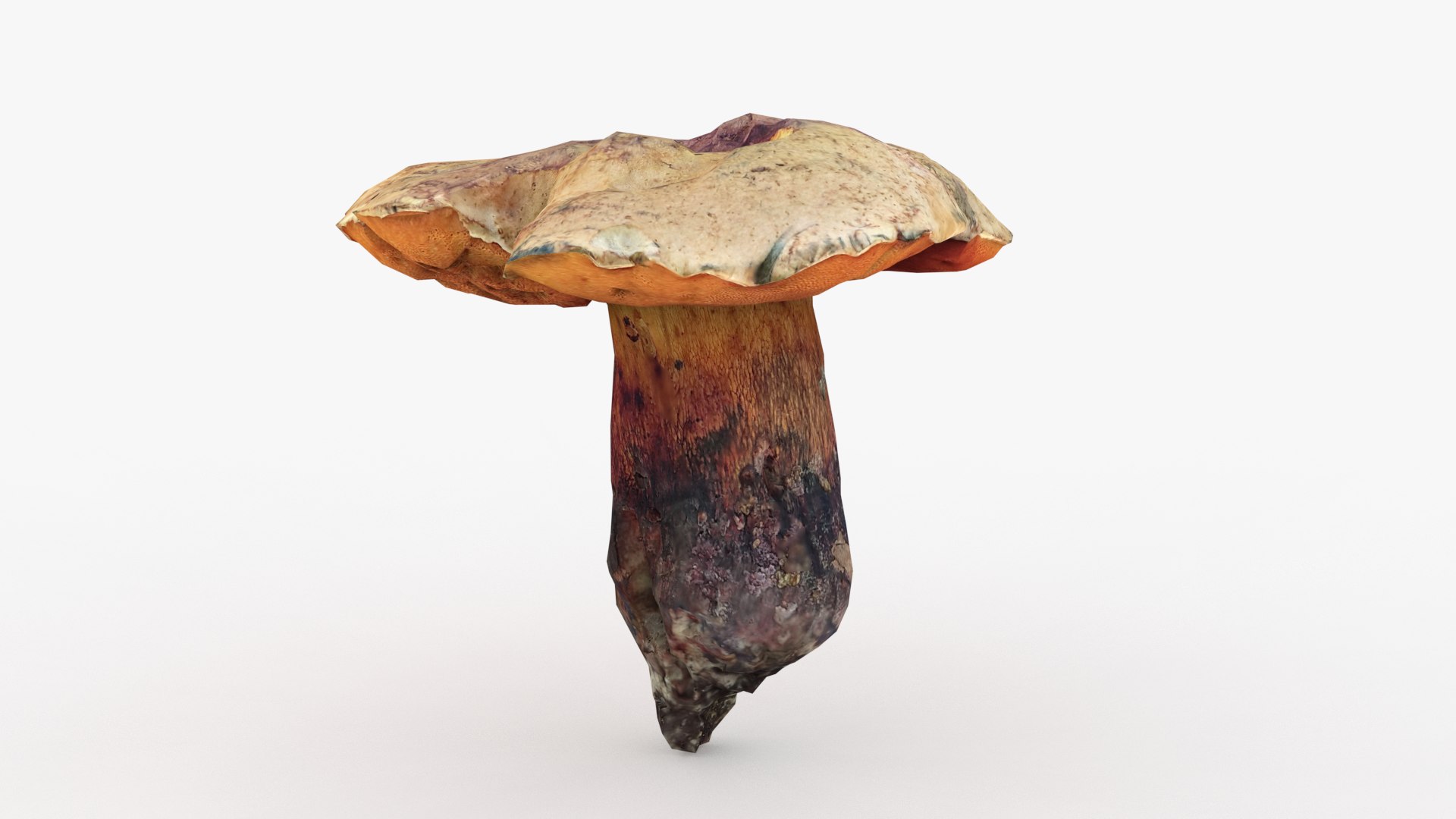 3D Poisonus Mushroom 1 Scan https://p.turbosquid.com/ts-thumb/8M/RN7upD/ex/3/png/1694631578/1920x1080/fit_q87/5c13169f37cb38706bc86ea87c4639872e3e0254/3.jpg