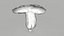 Poisonus Mushroom 1 Scan